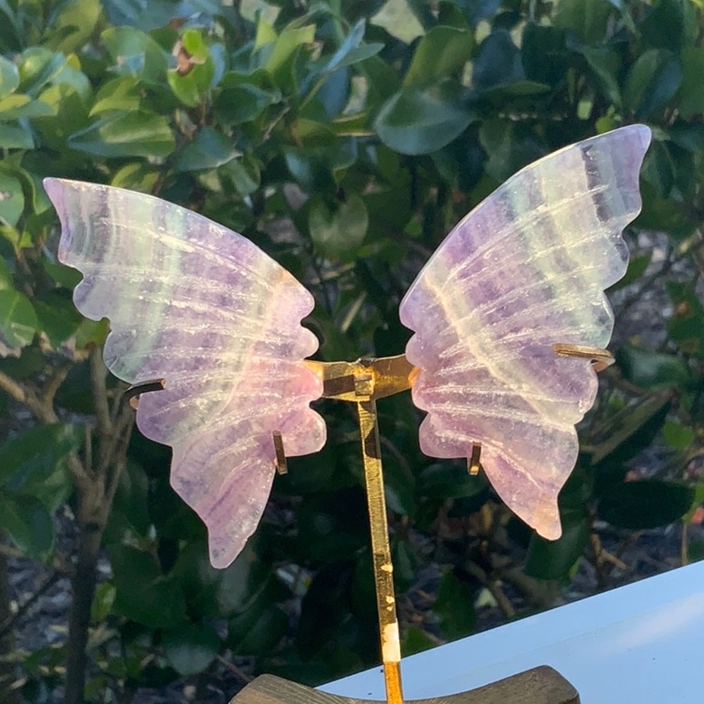 HAND CARVED FLUORITE BUTTERFLY WINGS & STAND